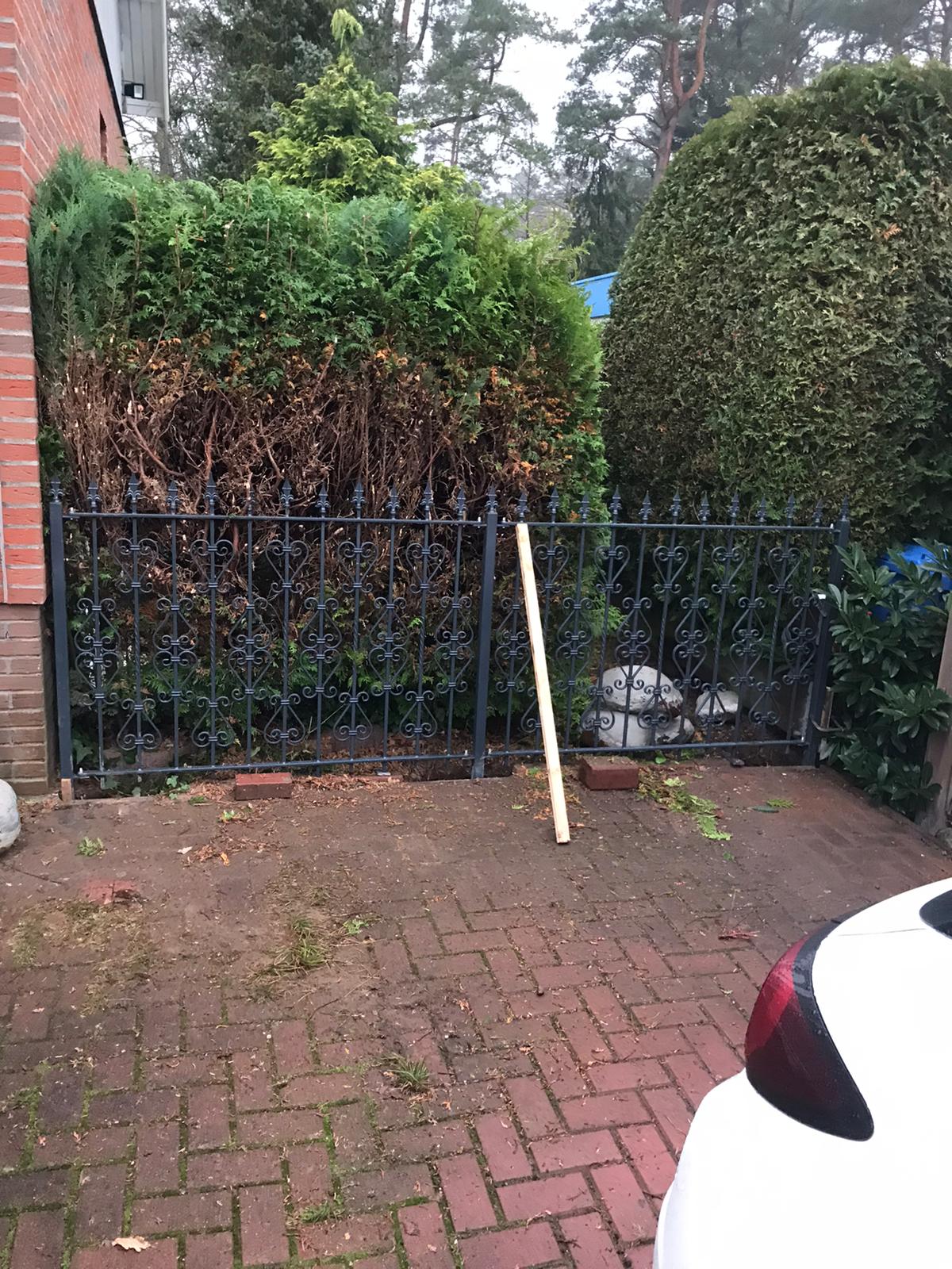 Gartenweg mit Metallzaun und Hecken